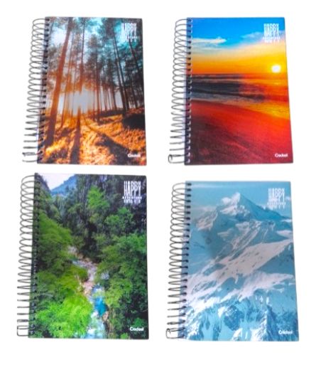 CADERNO ESPIRAL C.D.  1/4 HAPPY 200FLS